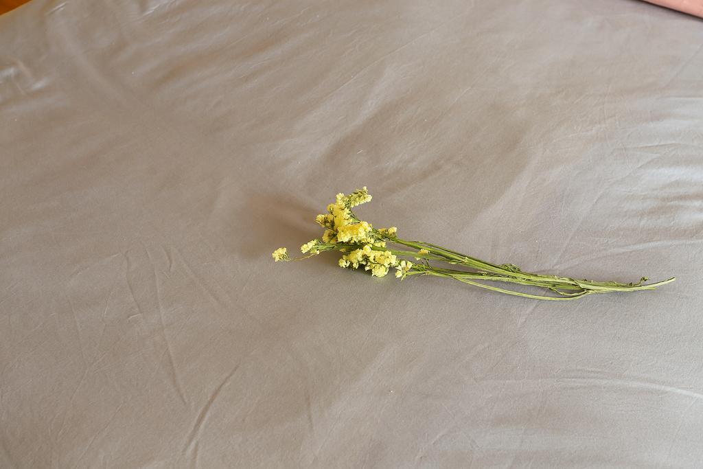 Midsummer Homestay Жангжиаже Екстериор снимка